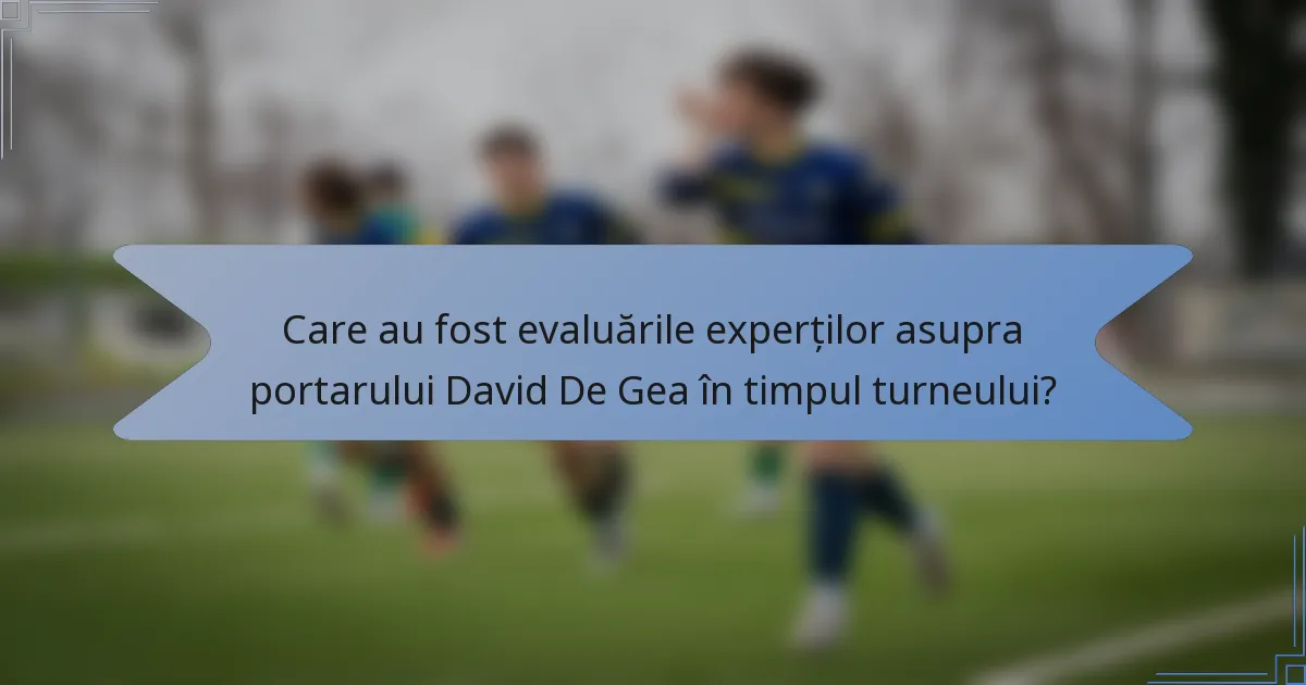 Care au fost evaluările experților asupra portarului David De Gea în timpul turneului?