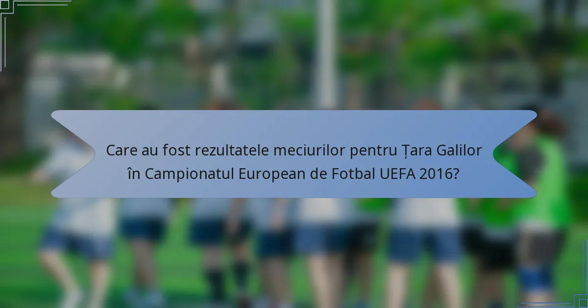 Care au fost rezultatele meciurilor pentru Țara Galilor în Campionatul European de Fotbal UEFA 2016?