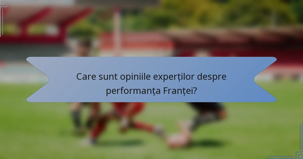 Care sunt opiniile experților despre performanța Franței?