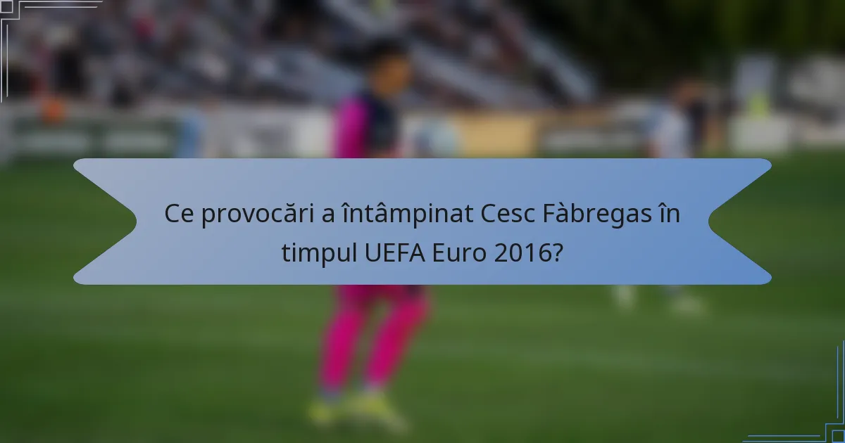 Ce provocări a întâmpinat Cesc Fàbregas în timpul UEFA Euro 2016?