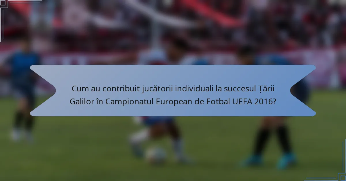 Cum au contribuit jucătorii individuali la succesul Țării Galilor în Campionatul European de Fotbal UEFA 2016?
